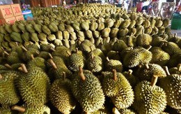 Một quốc gia sắp xuất khẩu hàng trăm tấn sầu riêng cho Trung Quốc: giảm 35% chi phí nhờ đường sắt chạy thẳng, mơ thành 'cường quốc vua trái cây'