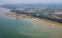 TP HCM: Hình thành 4 khu thương mại tự do