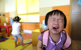 Con mới 2 tuổi, nhà tôi đã mở cuộc họp dài 3 tiếng để chọn trường mầm non: Công lập - tư thục và cả phe thứ 3