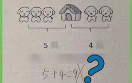 Bài toán tiểu học "5 + 4 = 9" bị chấm sai, ngay cả phụ huynh cũng không giải được: Đáp án đúng mới ngã ngửa!