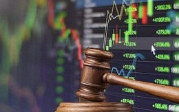 Một mã cổ phiếu tăng “bốc đầu” hơn 80% bất chấp công ty liên tục bị “bêu tên” và xử phạt