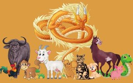 3 con giáp tam hợp giỏi giao tiếp sắp bước vào thời kỳ rực rỡ: Sự nghiệp thăng tiến, tiền bạc dồi dào