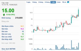 Cổ phiếu tăng gấp đôi từ đầu năm, Tập đoàn MCST (ALV) chuẩn bị trả cổ tức tỷ lệ 70%