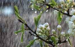 Dự báo thời tiết 10 ngày: Áp thấp nhiệt đới vào vịnh Bắc Bộ, cả nước mưa kéo dài