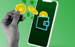 Tại Việt Nam: Số người đầu tư tiền mã hoá gấp đôi người đầu tư chứng khoán, đa số là nam giới, thu nhập dưới 500 USD/ tháng thường thua lỗ