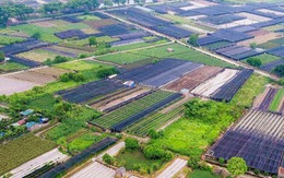 Nhiều quy định mới về đất đai có hiệu lực từ ngày 15-8