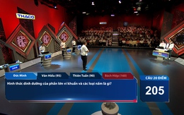 BTC Olympia xin lỗi