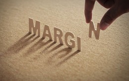 HOSE cắt margin 3 cổ phiếu do thua lỗ, danh sách không được giao dịch ký quỹ gồm 65 mã gồm nhiều cái tên “hot” HAG, NVL, LDG, BCG,...