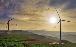 Khánh thành Nhà máy điện gió Hải Anh 1.500 tỷ đồng