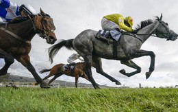 Lần đầu tiên sàn chứng khoán có 7 doanh nghiệp 10 tỷ đô