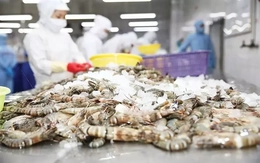 Ngành hàng xuất khẩu tỷ USD kiến nghị bỏ thuế VAT