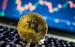 Giá Bitcoin có bị “thổi phồng”?