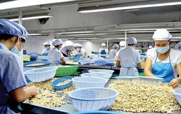 Mỹ áp thuế 20% với hàng Việt Nam: Doanh nghiệp, chuyên gia kỳ vọng giảm thêm