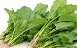 Ăn cải bó xôi, 2 nhóm người này phải chần để tránh gây sỏi thận
