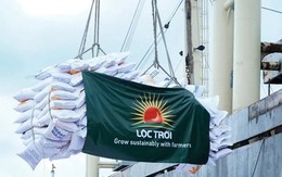 Thành viên ban kiểm soát Bamboo Capital (BCG) được đề cử vào ban kiểm soát Lộc Trời (LTG) giữa rối ren nhân sự