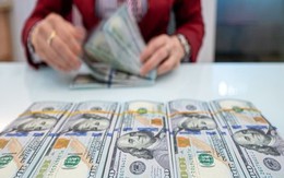 Ngày 20/8: Tỷ giá ngân hàng lần đầu vượt 26.500 đồng, USD tự do lập đỉnh mới