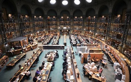 9 câu nói ‘sấm truyền’ trên tường thư viện Harvard: Bảo sao ngôi trường này sản sinh ra nhiều người giàu đến thế!