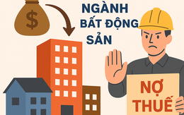 Chủ đầu tư dự án Aria Đà Nẵng, Lagi New City nằm trong danh sách nợ thuế cùng hàng loạt đại giá BĐS có tiếng tại TP.Hồ Chí Minh