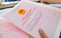 Người dân có đất chưa đủ điều kiện cấp sổ đỏ vẫn có thể đăng ký thông tin đất đai