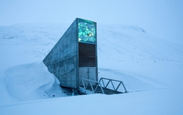 Năm 2008, có người đã âm thầm xây một căn hầm mật trên núi băng, bên trong chứa "bản sao lưu" cuối cùng của sự sống