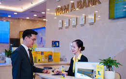 Bà Trần Kiều Thương mua vào 1 triệu cổ phiếu NAB