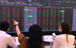 VN-Index “tưng bừng” trên đỉnh lịch sử, loạt công ty chứng khoán lớn triệu tập họp bất thường