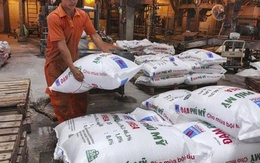 Đạm Phú Mỹ tăng vốn điều lệ lên gần 6.800 tỷ đồng sau đợt phát hành cổ phiếu thưởng