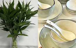 Chuyển về tổ ấm mới, hãy nhớ 10 điều này để gia đạo an khang, tài vận hưng thịnh