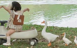 6 câu bố mẹ càng hay nói thì con lớn lên càng xuất sắc