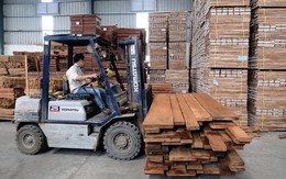 Bị nhầm, đại gia gỗ trên sàn trình lại tỷ lệ chào bán cổ phiếu cho cổ đông hiện hữu từ 5% lên 20%