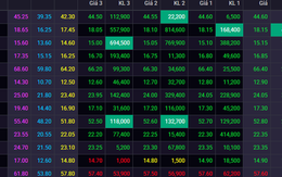 Ngày 22/8: VPB, TCB cùng loạt cổ phiếu ngân hàng giảm sâu, BID và VCB ngược chiều tăng giá