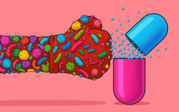 Vì sao vi khuẩn kháng được kháng sinh?