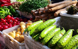 6 loại rau mùa thu không cần phun thuốc trừ sâu, vừa ngon vừa an toàn cho sức khỏe