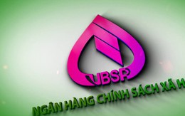 Đề xuất NHCSXH được Ngân sách Nhà nước cấp bổ sung vốn điều lệ hằng năm và thay đổi về trích lập dự phòng rủi ro tín dụng