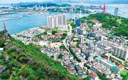 Ngân hàng rao bán khoản nợ 173 tỷ đồng của đại gia sở hữu hàng chục nghìn mét vuông đất ở Quảng Ninh