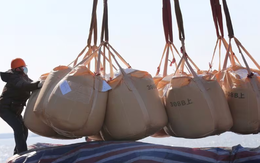 Áp thuế mạnh tay với một mặt hàng của Nga, châu Âu gặp bão tố khi giá tăng phi mã, chuyên gia thừa nhận: “Chúng tôi đang tự bắn vào chân mình”