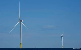 Mỹ mở cuộc điều tra an ninh quốc gia về nhập khẩu tua bin gió