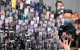 Cảnh sát bao vây căn nhà có 20.000 chiếc điện thoại phát sáng hoạt động 24/7, bí mật về kho hàng lạ và 17 tỷ đồng bị phát hiện