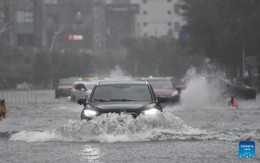 Bão Kajiki áp sát tỉnh Hải Nam, Trung Quốc kích hoạt biện pháp ứng phó khẩn cấp