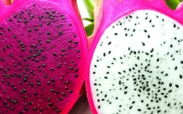 Ăn thanh long ruột đỏ hay trắng tốt hơn?