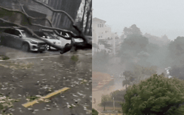 Cảnh tượng kinh hoàng khi bão số 5 (bão Kajiki) đổ bộ Trung Quốc: Cây đổ hàng loạt, giao thông tê liệt