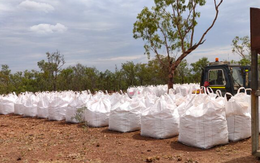 Hơn 900.000 tấn ‘báu vật quốc gia’ từ Campuchia vừa đổ bộ Việt Nam: Thuế nhập khẩu 0%, là trợ lực giúp nước ta xuất khẩu bỏ xa thế giới