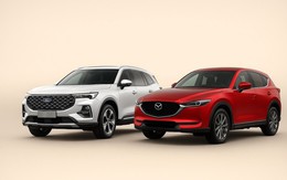 Ford Territory và Mazda CX-5, xe nào hợp hơn với phụ nữ Việt - Câu trả lời ở 4 yếu tố này