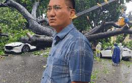 Chủ xe kể 30 giây kinh hoàng khi cây lớn bật gốc đè trúng ô tô giữa phố tại Hà Nội