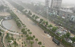 Khu nhà giàu Ciputra được ví như "làng chài" bởi hễ mưa lớn là ngập trong "biển nước" nhưng giá biệt thự trăm tỷ/căn