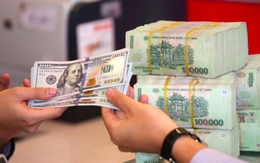 VND tiếp tục mất giá trong tháng 8, áp lực tỷ giá có thể đến từ tình trạng găm giữ USD khi NHNN đang thực hiện nới lỏng chính sách tiền tệ