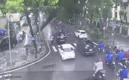 Camera ghi lại khoảnh khắc cây xanh bật gốc, đè trúng ô tô tại ngã tư Hà Nội vào sáng nay