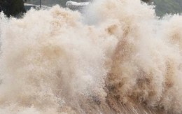 Biển Đông sắp đón áp thấp nhiệt đới, có thể gây mưa dịp Quốc khánh 2/9