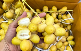 Loại quả kỳ lạ "cắn dọc thì ngọt, cắn ngang thì chát": Hóa ra là "khắc tinh" của ung thư và tiểu đường