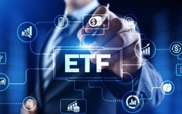 Một cổ phiếu vốn hóa 170.000 tỷ đồng có thể được 2 quỹ ETF ngoại lâu đời nhất TTCK Việt Nam "săn lùng" trong đợt cơ cấu tháng 9